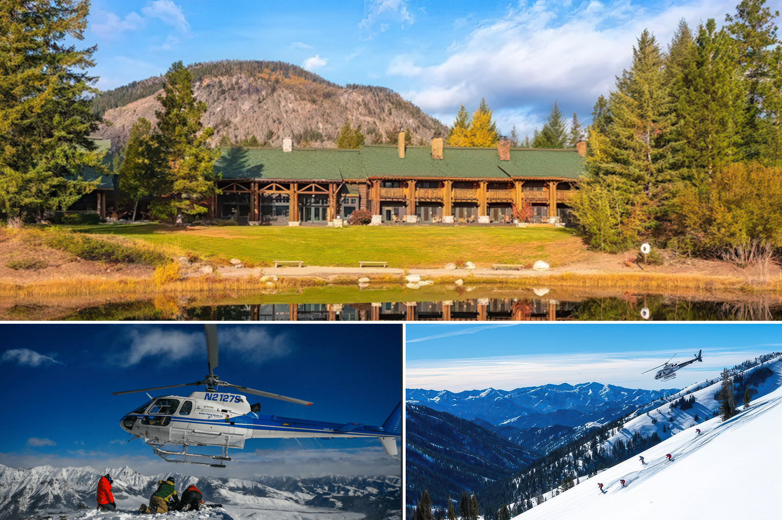 Freestone