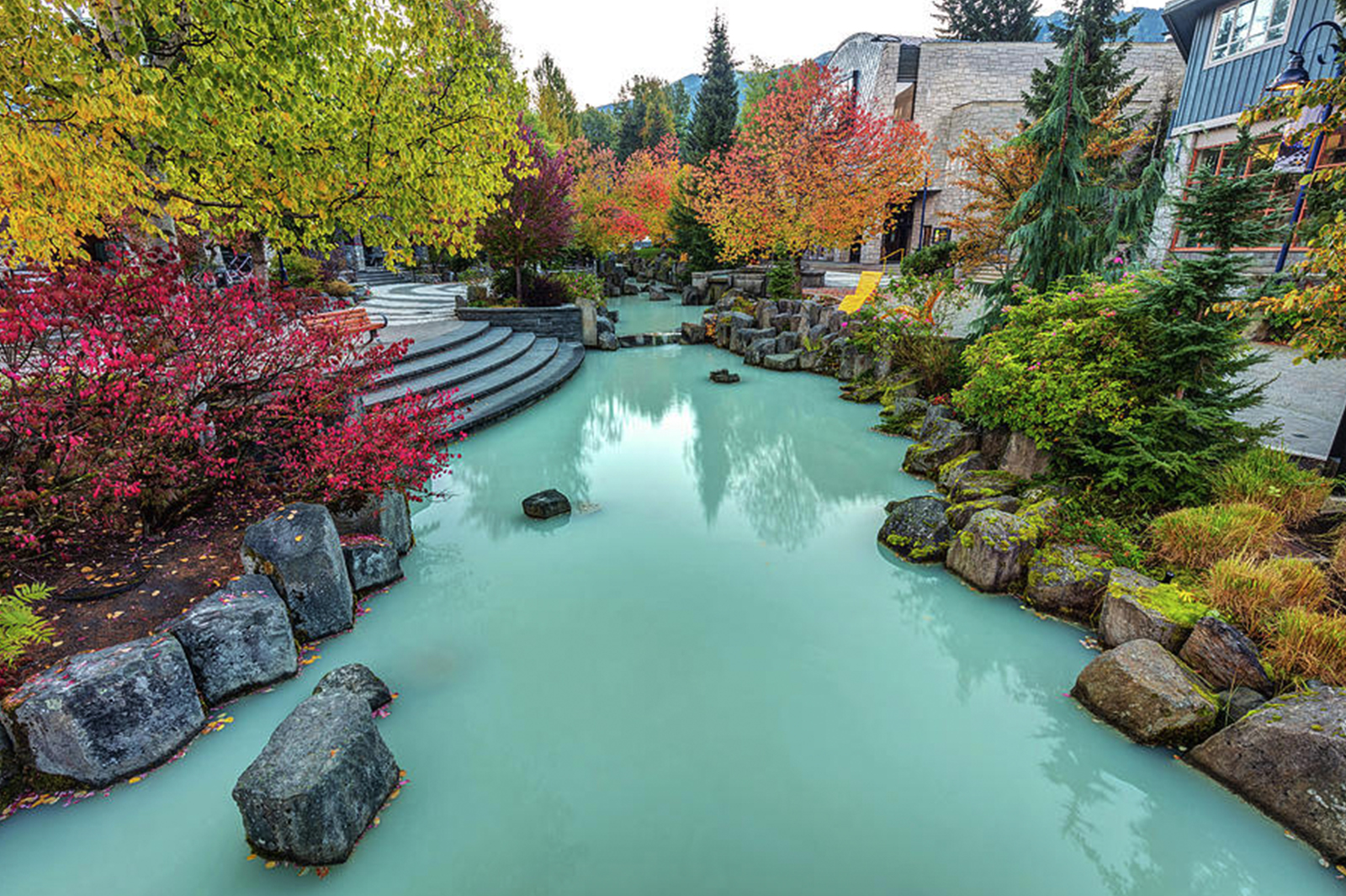 Whistler